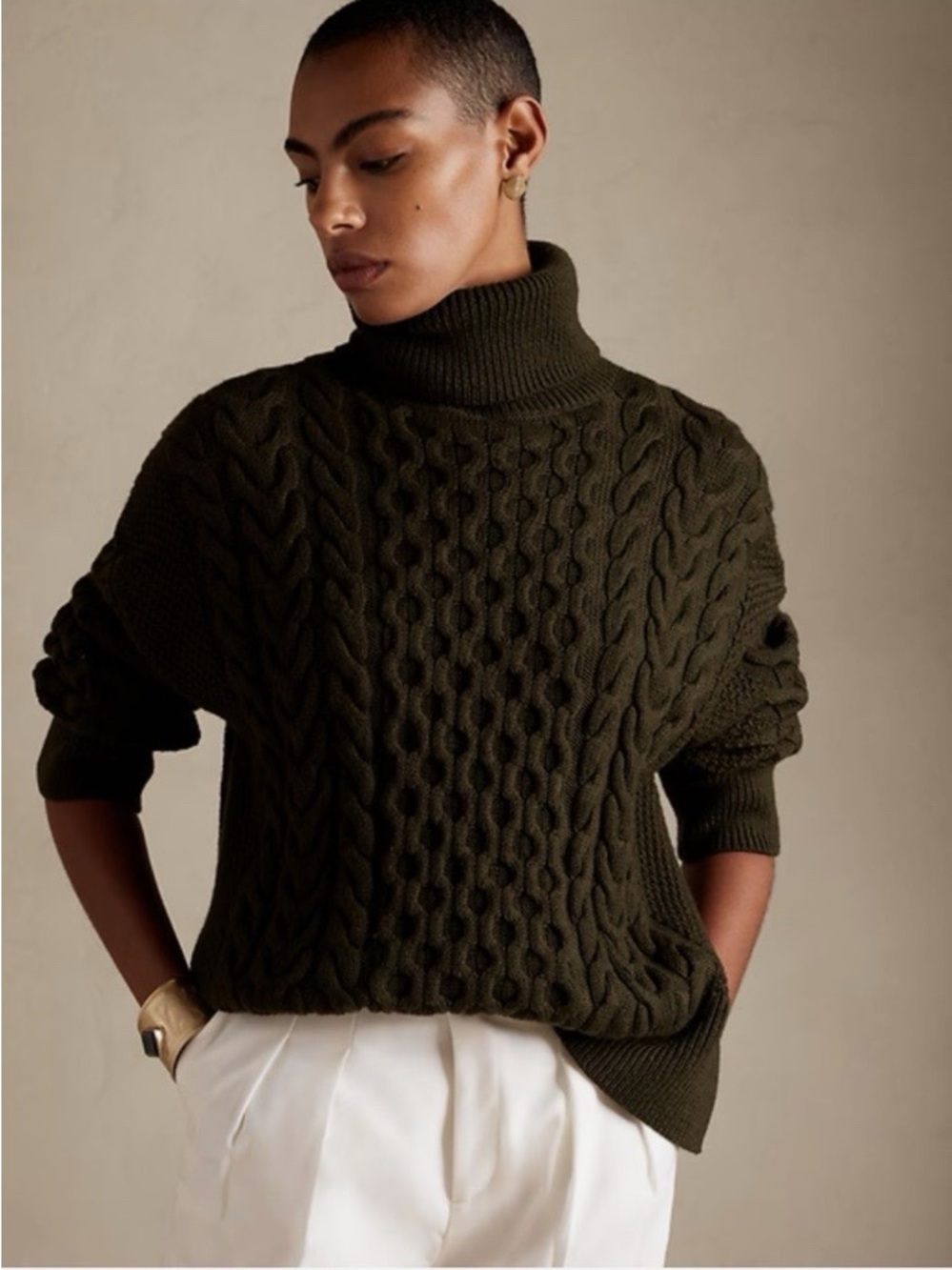 Banana Republic Devon Merino Wool Cable-Knit Turtleneck Sweater